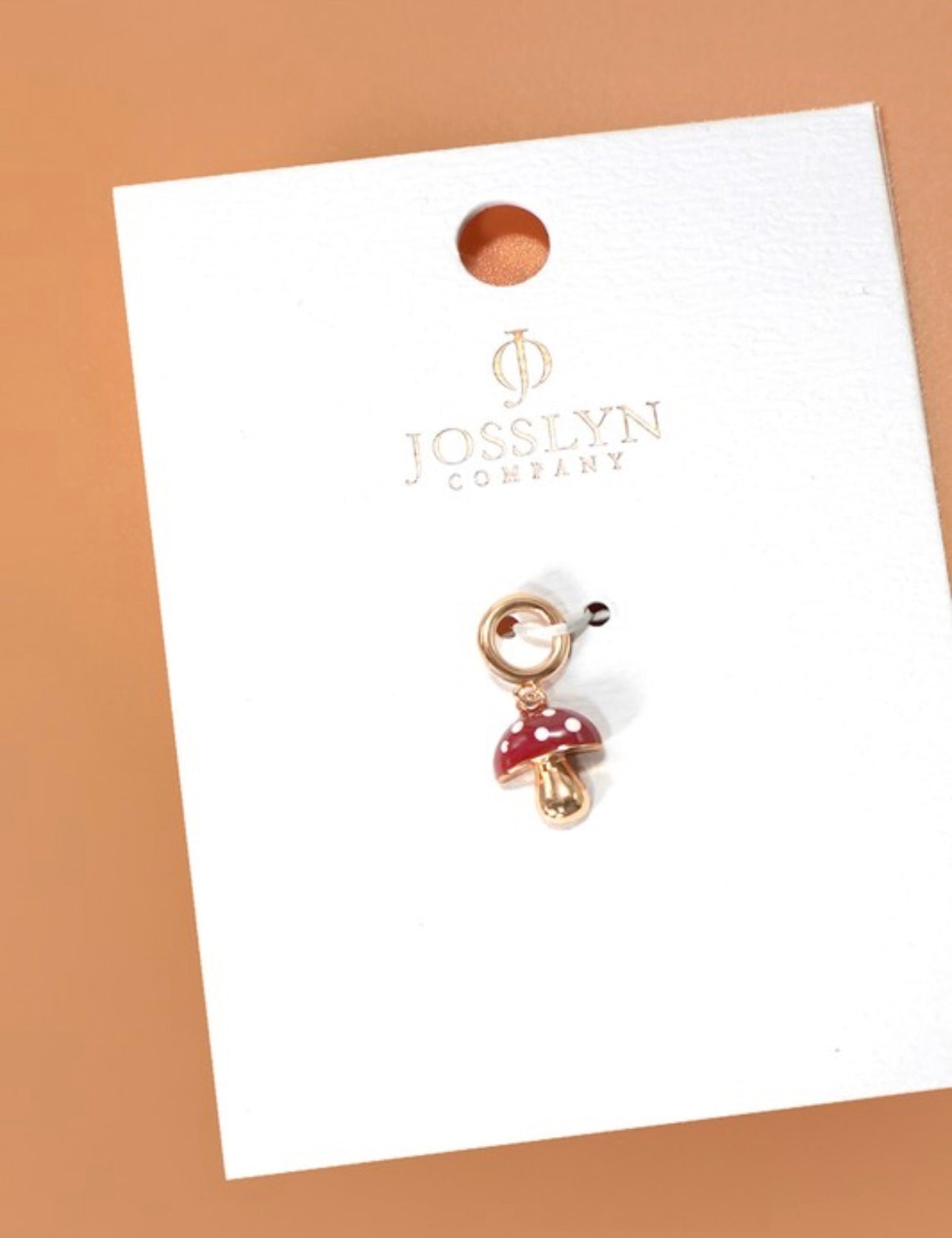 Brass Shoe Charm