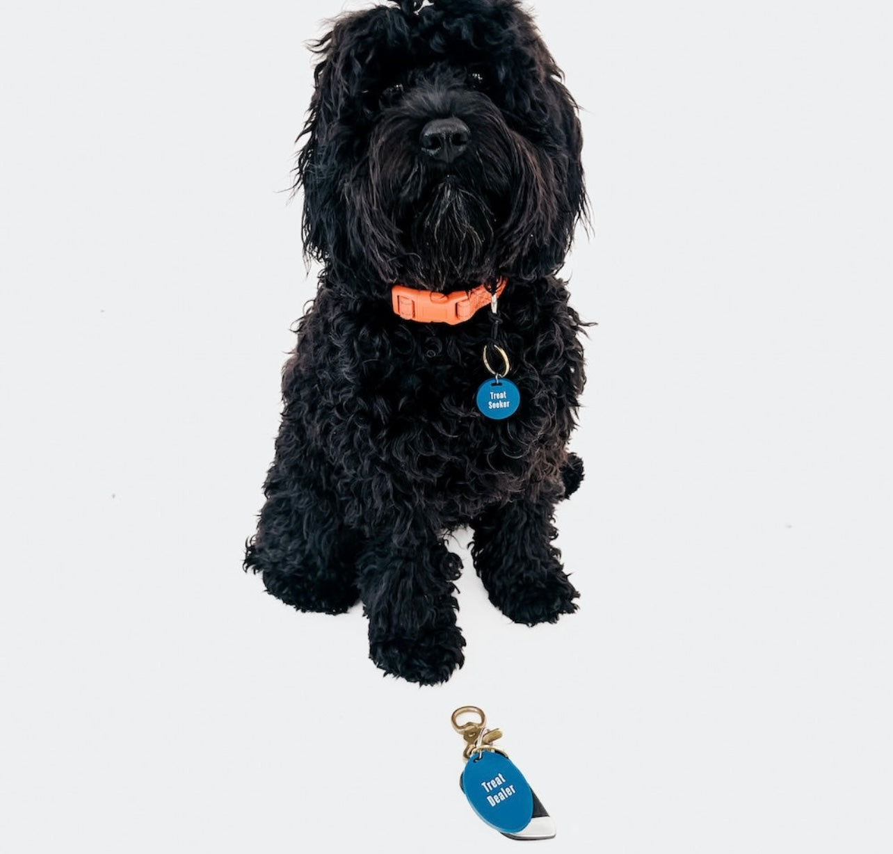 Pet Tag & Keychain Set