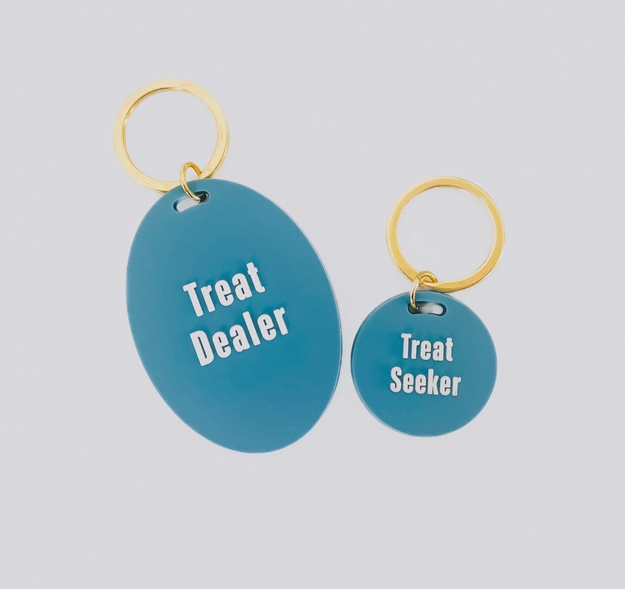 Pet Tag & Keychain Set