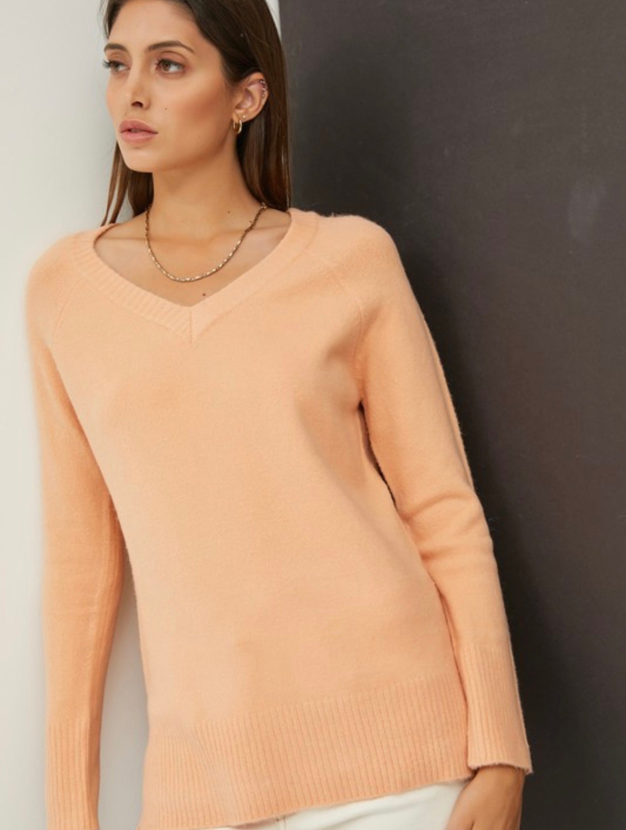 Classic V Neck Sweater