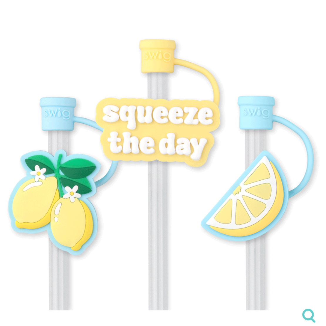 Swig Life Straw Topper Set